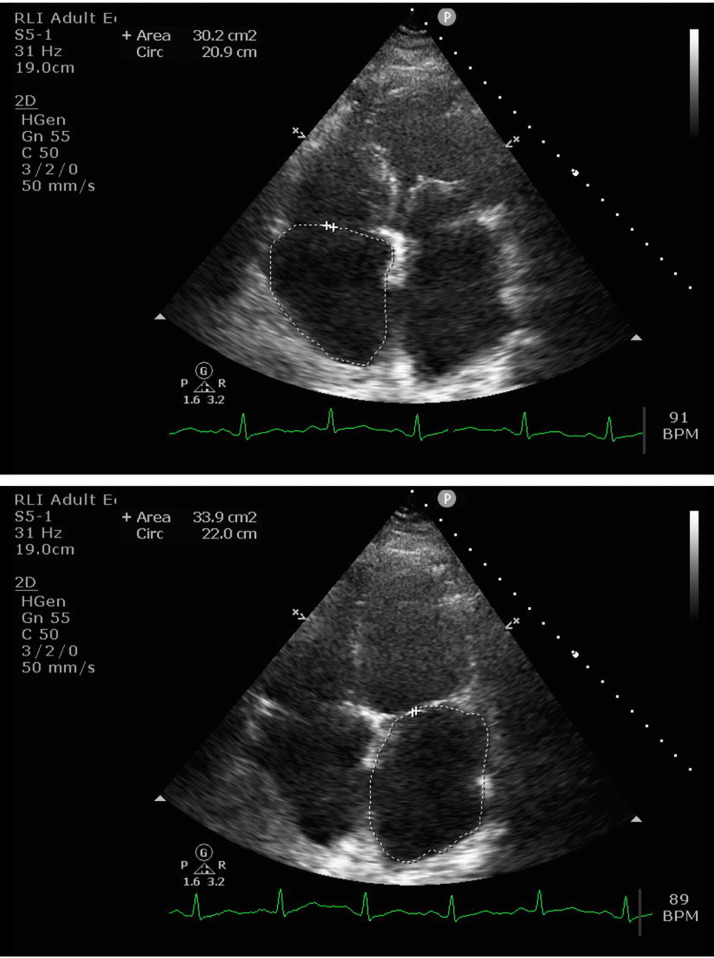 Fig. 1 –