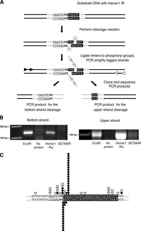 FIG. 6.