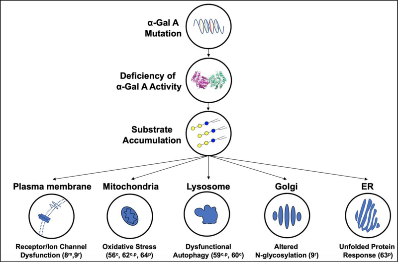 Figure 2: