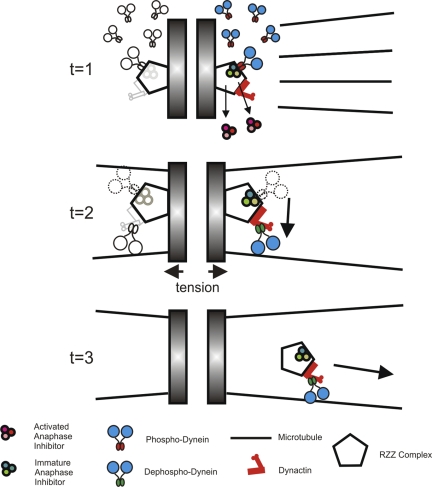 Figure 9.