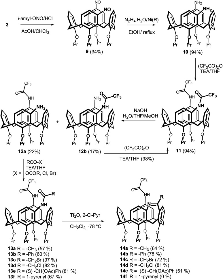 Scheme 2