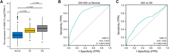 FIGURE 1