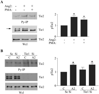 Fig. 4