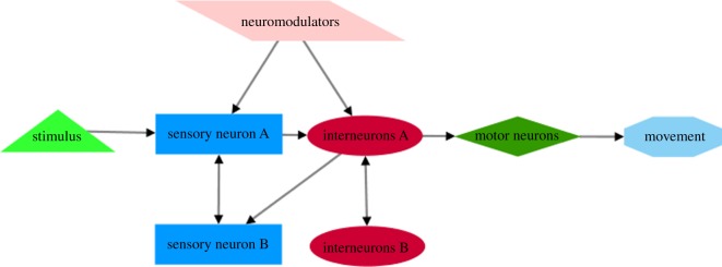 Figure 2.