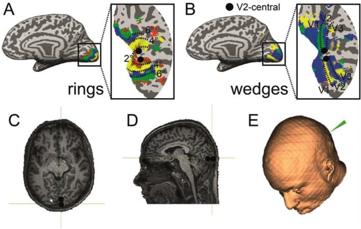 Fig. 3