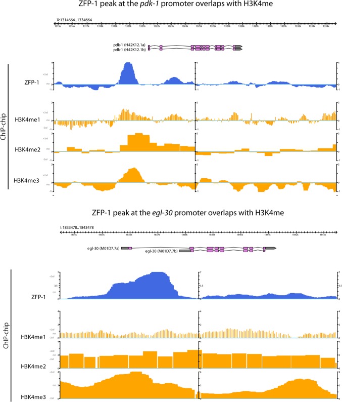 Fig 10