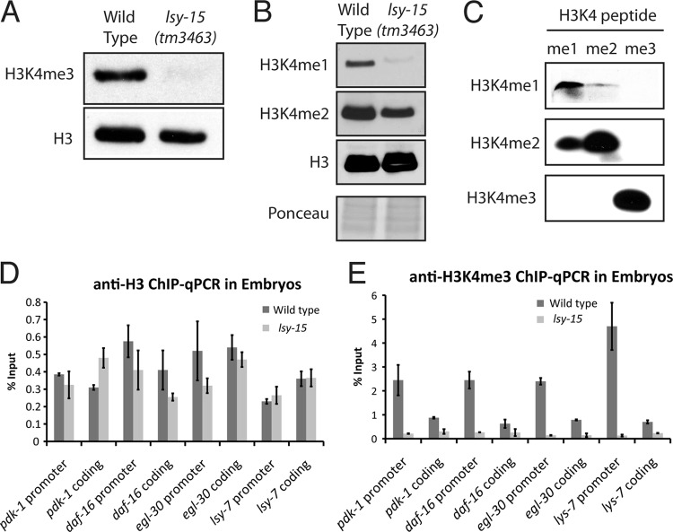 Fig 13