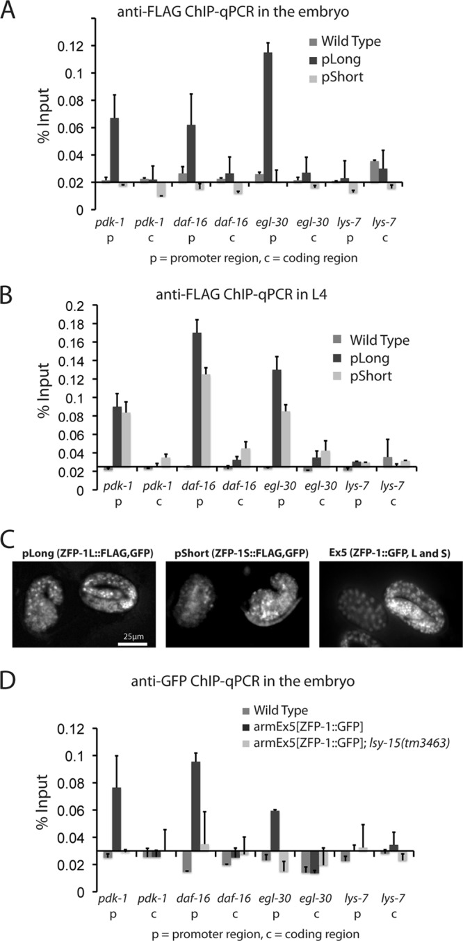 Fig 11