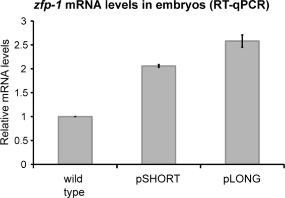 Fig 12