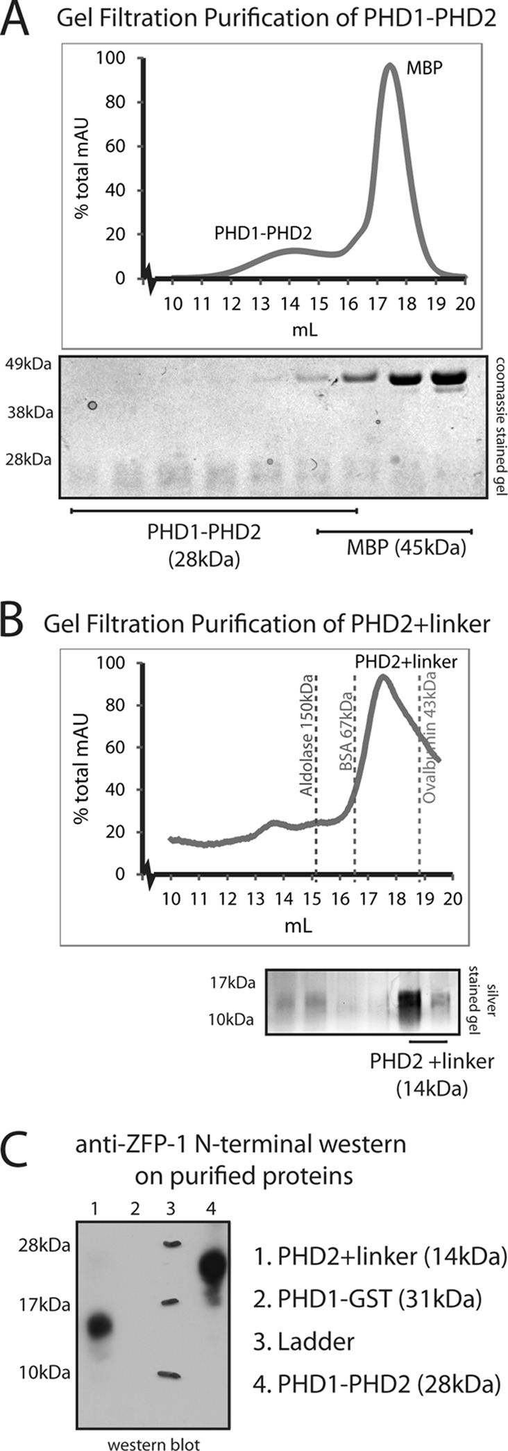 Fig 8