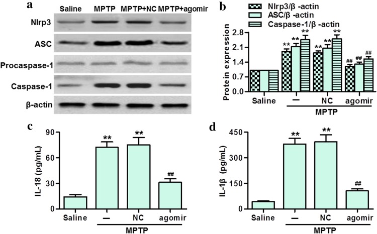 Fig. 7