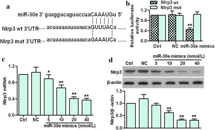 Fig. 6