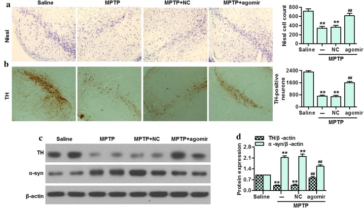 Fig. 4