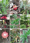 Fig. 4
