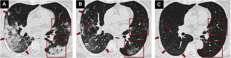 Fig. 7