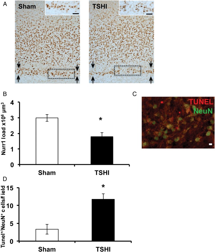 Figure 2.