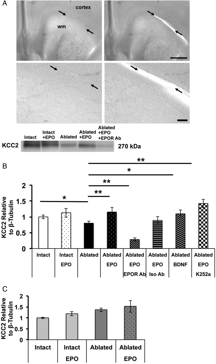 Figure 5.