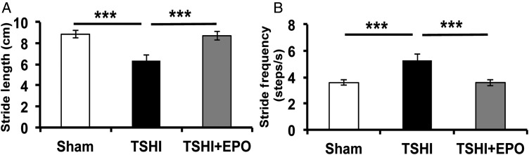 Figure 6.