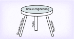 <b>Figure 1.</b>