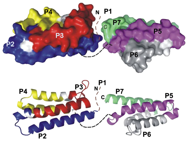 Fig 1