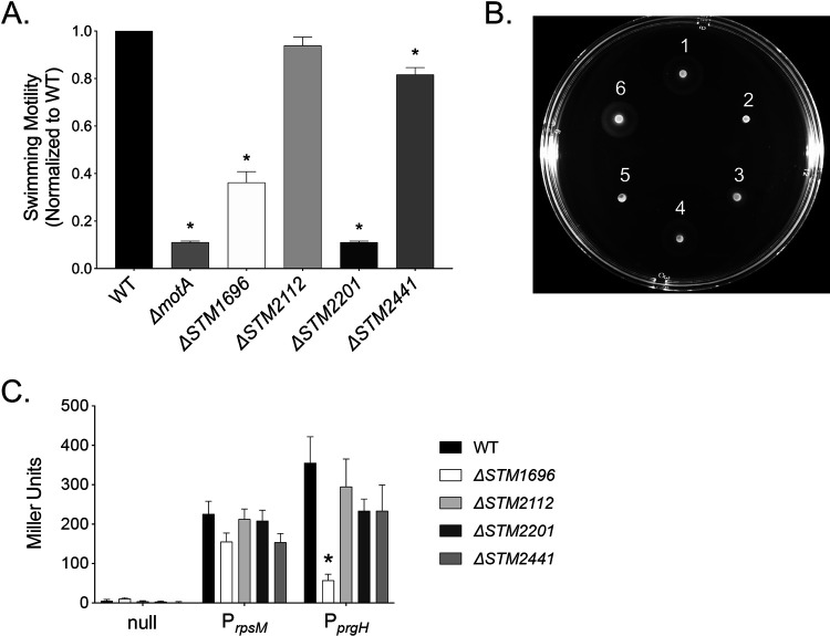 FIG 2