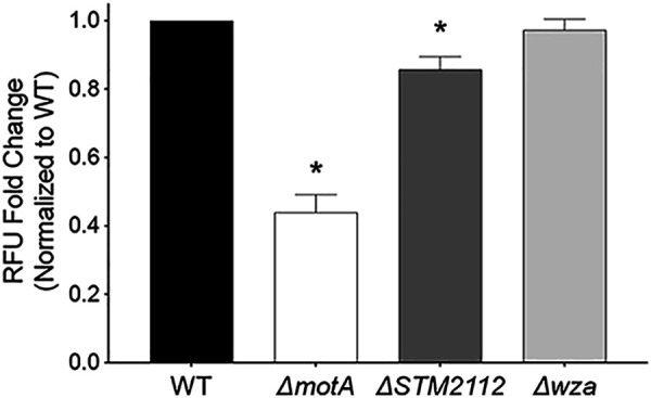 FIG 3