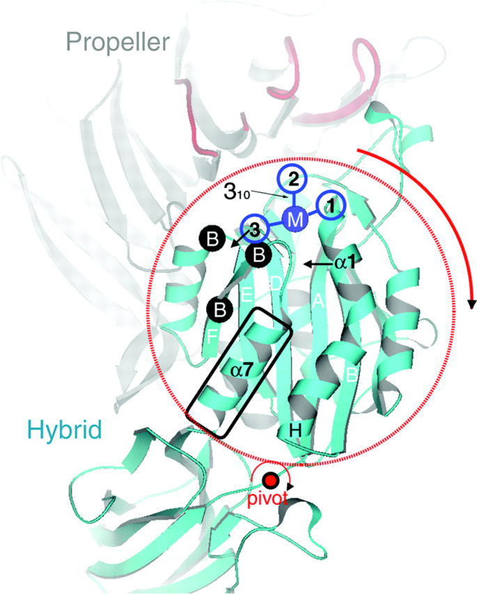 Figure 1.