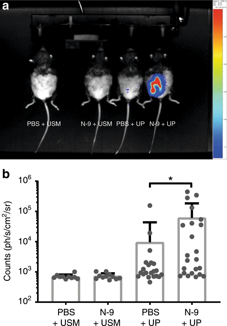 Fig. 4