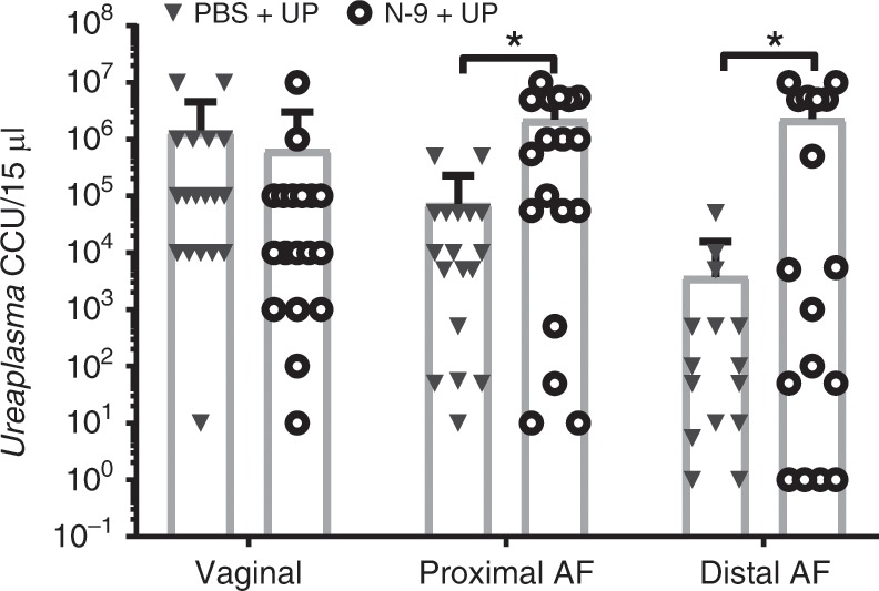 Fig. 5