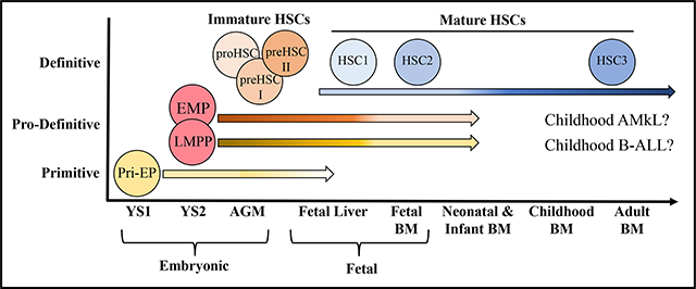 graphic file with name nihms-1798601-f0001.jpg