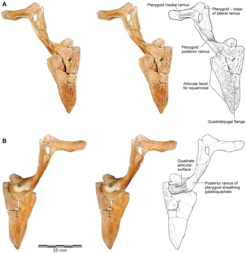 Figure 11