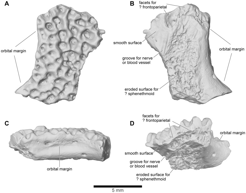 Figure 17