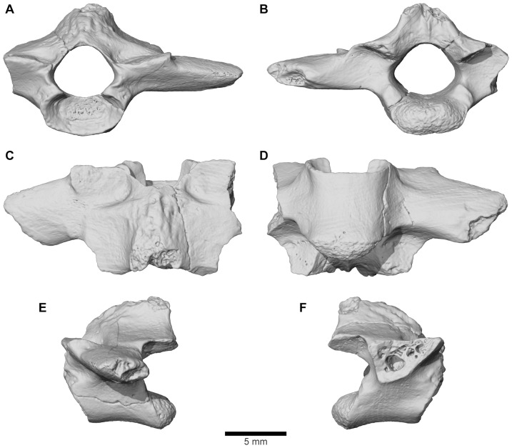 Figure 37