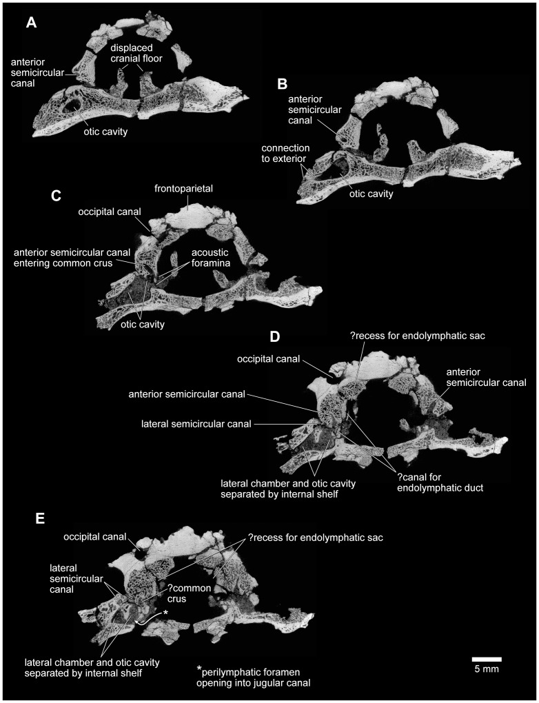 Figure 25