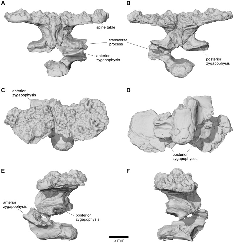 Figure 35