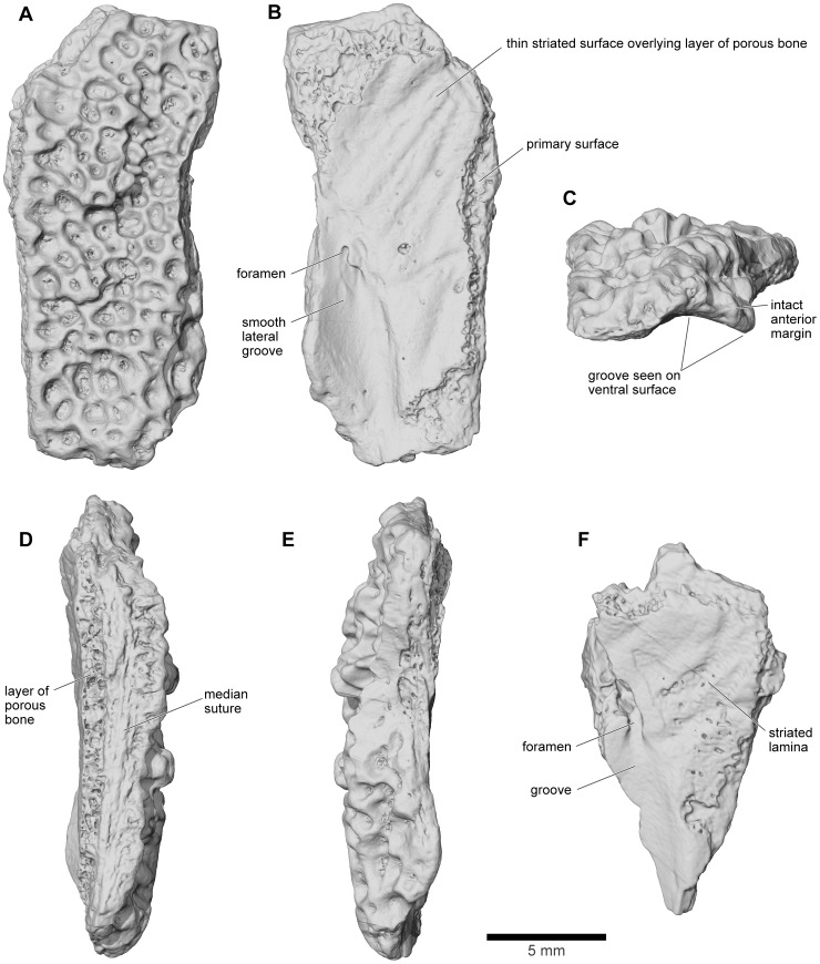 Figure 16