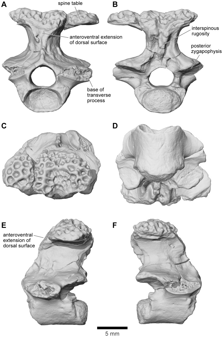 Figure 34