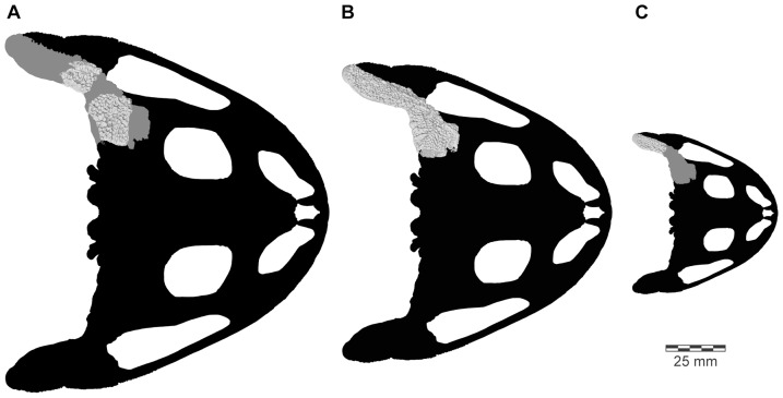 Figure 47