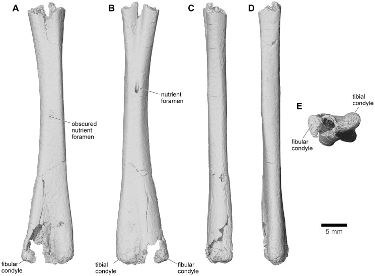 Figure 41