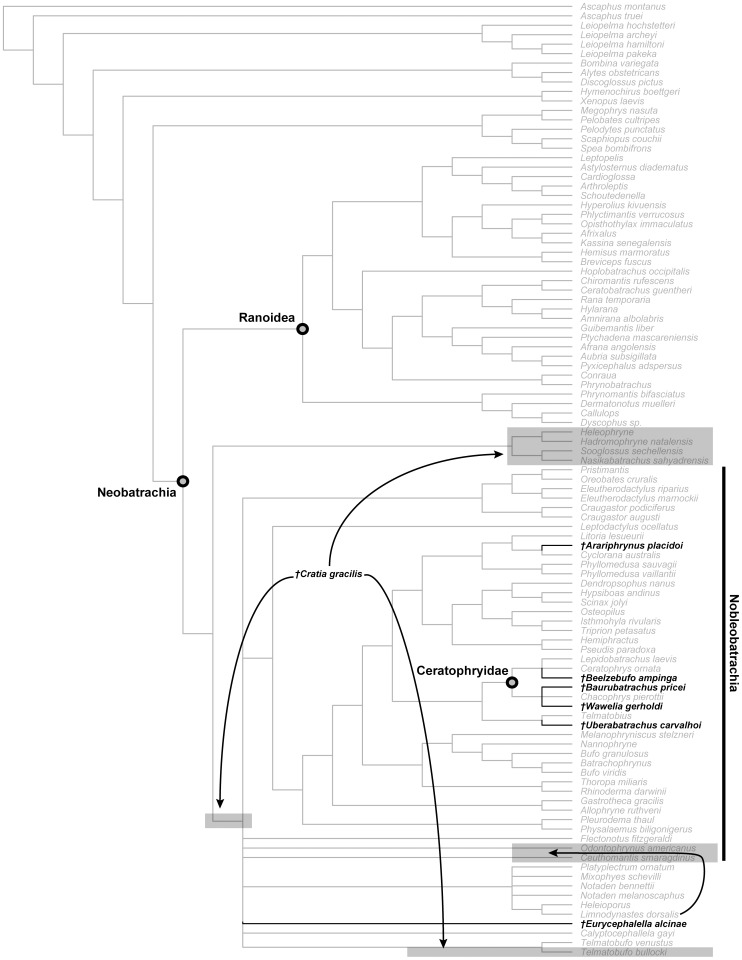 Figure 49