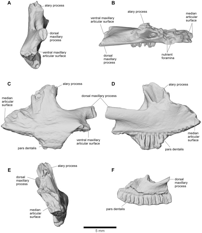 Figure 12