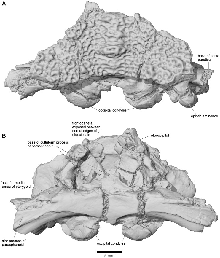 Figure 21