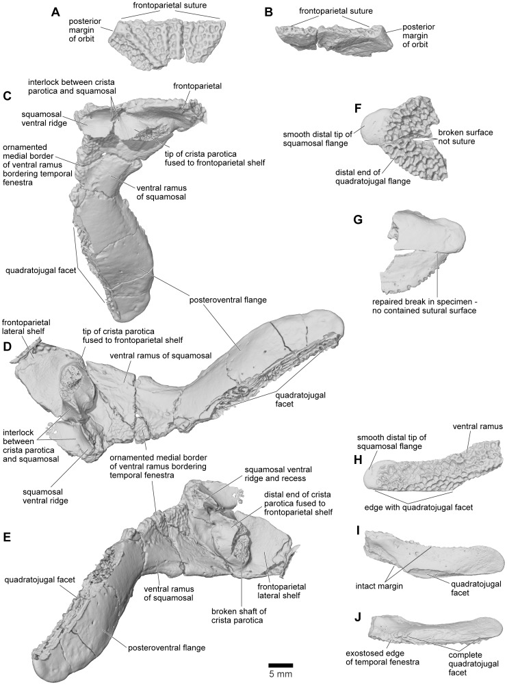 Figure 18