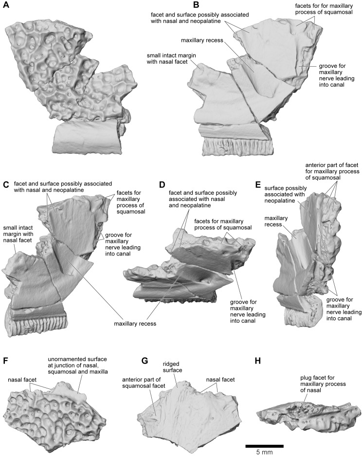 Figure 15