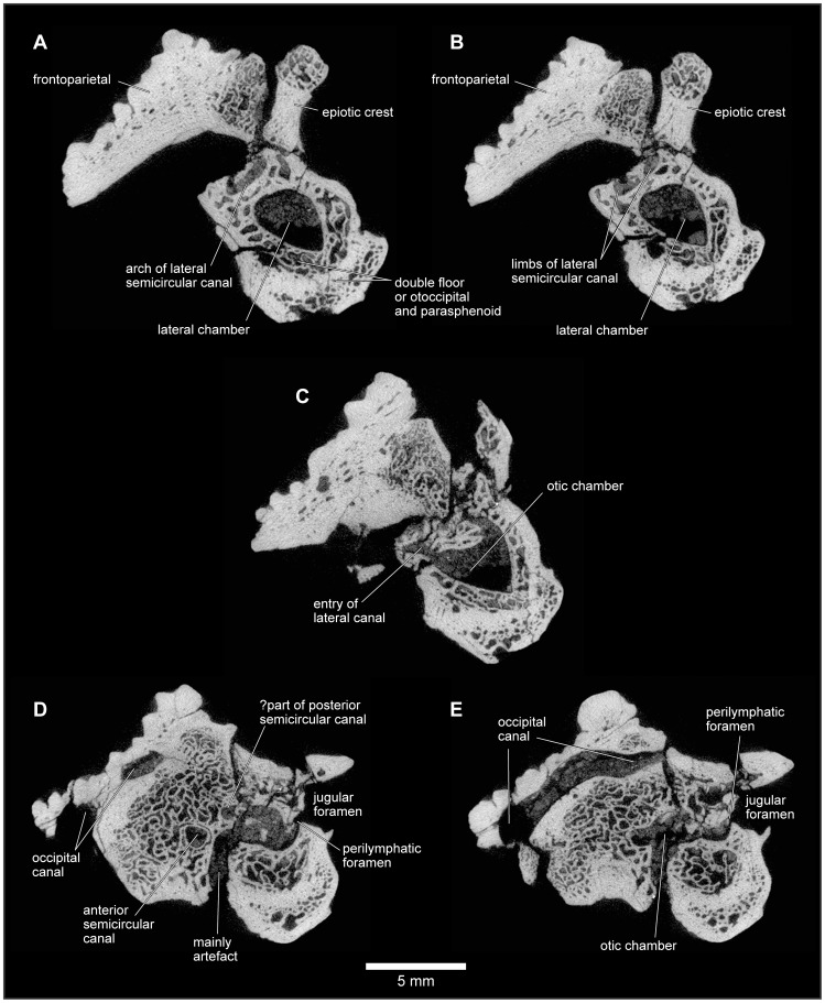 Figure 26