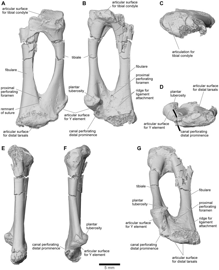 Figure 42