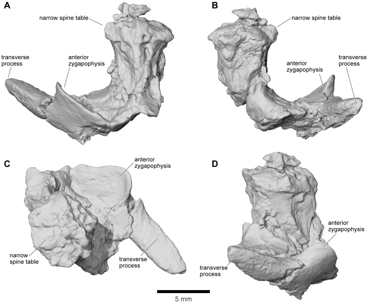 Figure 36