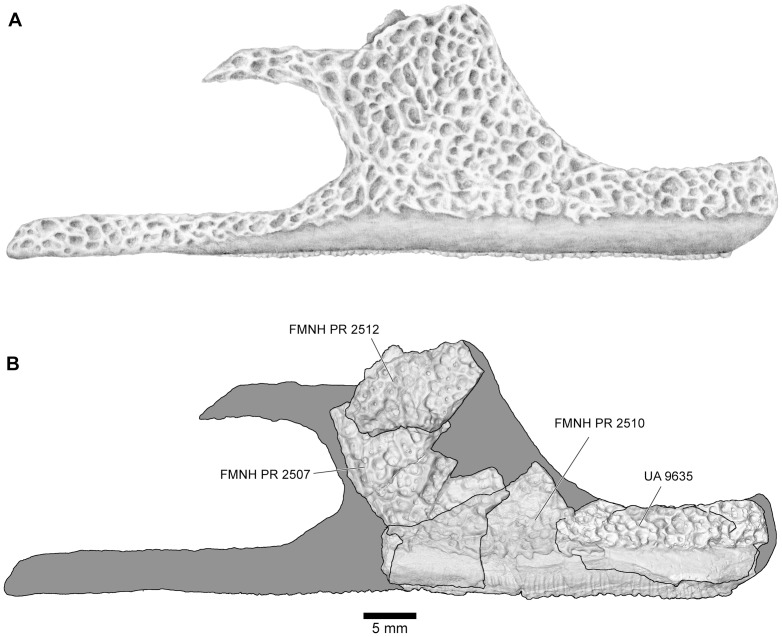 Figure 13