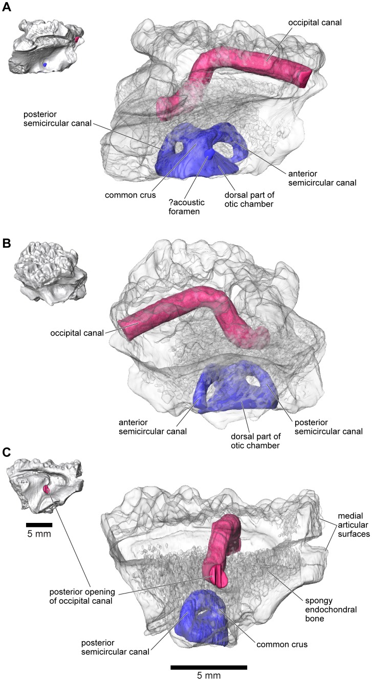 Figure 28