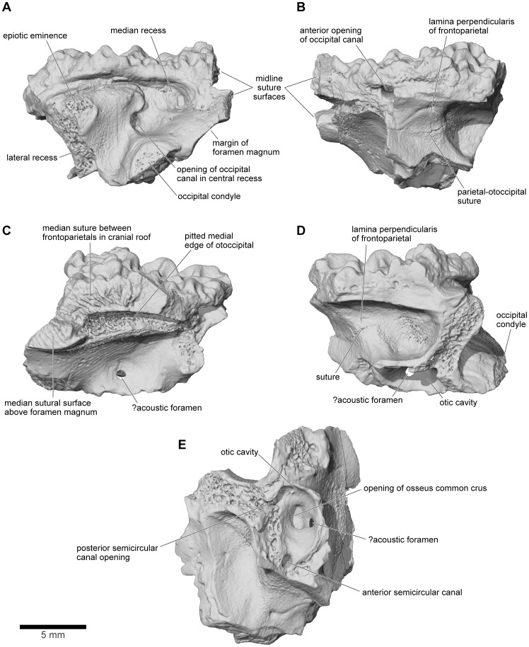 Figure 27